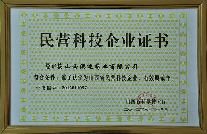 民營科技企業證書